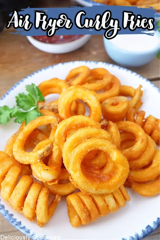 Arby'S Curly Fries Air Fryer